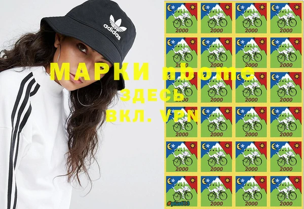 индика Алзамай