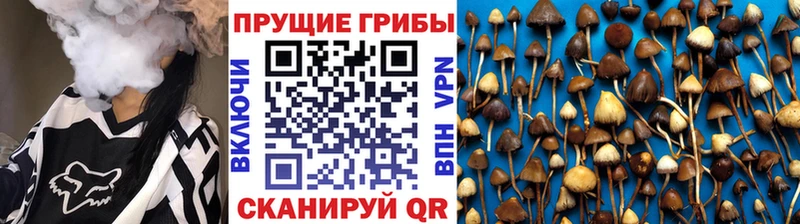 Псилоцибиновые грибы MAGIC MUSHROOMS KRAKEN маркетплейс площадка как зайти купить наркоту Прохладный